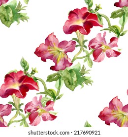 Petunia flowers seamless pattern on white background vector illustration