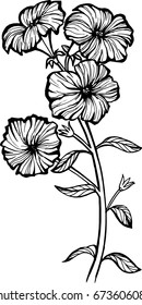 Petunias
