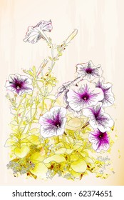 Petunias flowers. Chinese style illustration