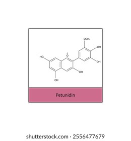 Petunidin skeletal structure diagram.anthocyanin compound molecule scientific illustration.