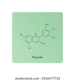 Petunidin skeletal structure diagram.anthocyanin compound molecule scientific illustration.