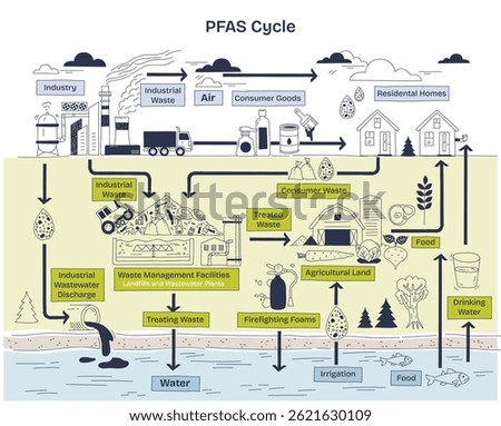 PFAS cycle illustrates contamination flow from industry to environment, highlighting industrial waste, water, and food. Doodle style diagram