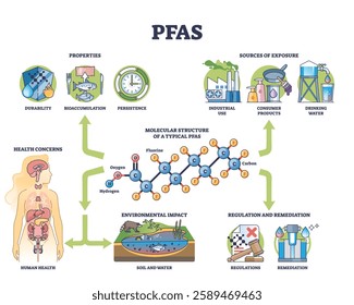 PFAS diagram outlines exposure sources, health concerns, and environmental impact. Key objects, molecular structure, health effects, exposure sources. Outline diagram