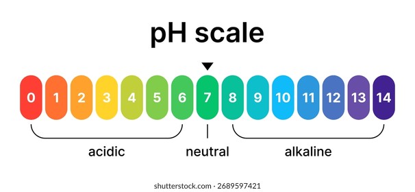 Escala de equilibrio de ácidos y bases. Valor en el indicador del medidor. Diseño de una prueba de agua, piel y alimentos utilizando papel de limo.