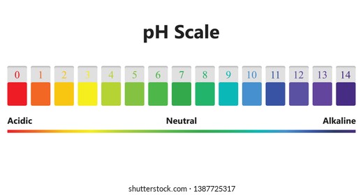 Ph Alkaline Acidic Scale Vector Illustration Stock Vector (Royalty Free ...