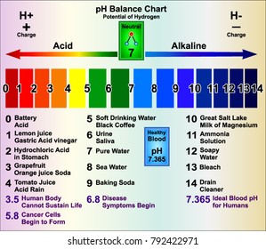 PH Balance In The Body
