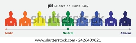 The PH balance scale chart in a human body, showing sickness and health in human body, pH level Balance, vector illustration infographics,