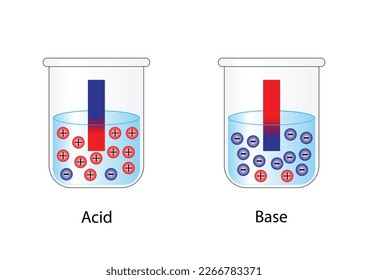 PH indicator. Acidic, neutral, basic solutions. Color change of blue litmus paper to red for acids, red litmus paper to blue for bases and No change for neutral solution. Vector scientific design.