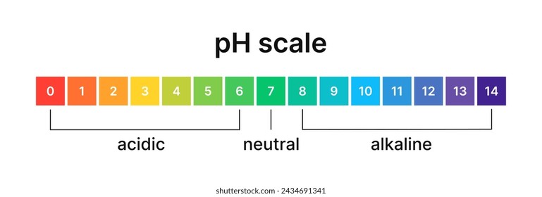 Nivel de Ph del equilibrio ácido y alcalino. Indicador de escala para la prueba de papel tornasol. Vector infografías aisladas sobre fondo blanco.