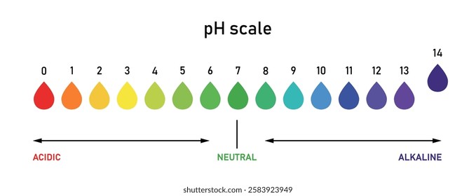 Ph level of acid and alkaline balance. pH Value Measurement Chart. Universal Test Strips and Indicators
