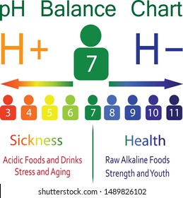 PH Level Balance Chart  Scale Showing Sickness And Health In Human Body Vector Infographics