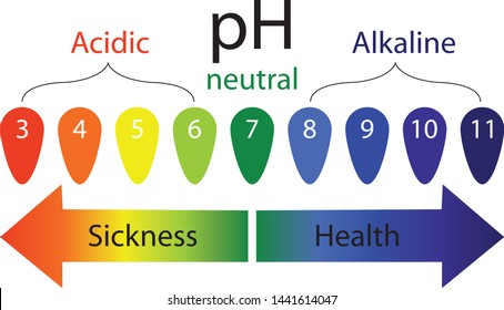 PH Level Scale Showing Sickness And Health In Human Body Vector Infographics