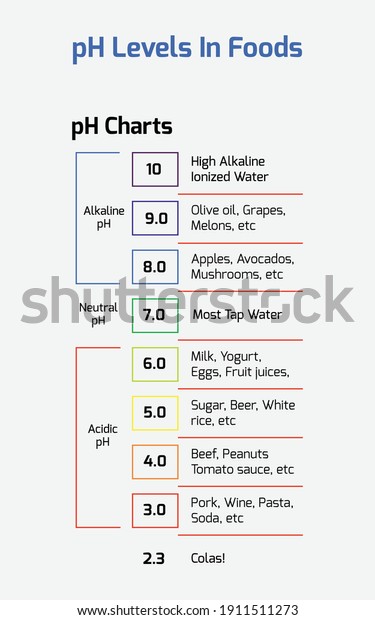 Ph Levels Foods Water Ph Levels Stock Vector (Royalty Free) 1911511273