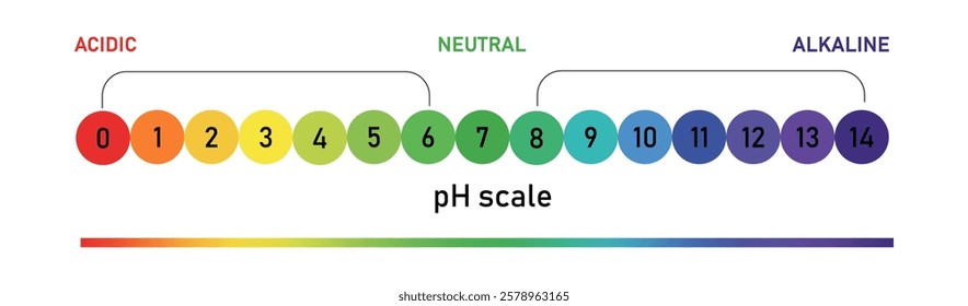 pH Meter Infographic. Acidic and Alkaline Spectrum Design