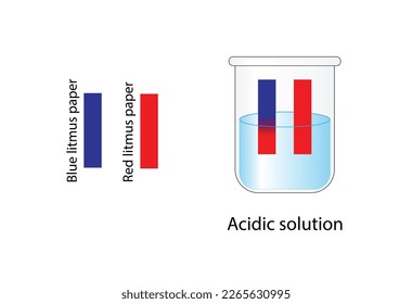 PH paper indicator. Acidic solutions. Color change of blue litmus paper to red for acids. Vector scientific design.