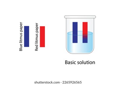 Indicador de papel PH. Papel rojizo a azul para bases y Sin cambio para solución neutra. Diseño científico vectorial.