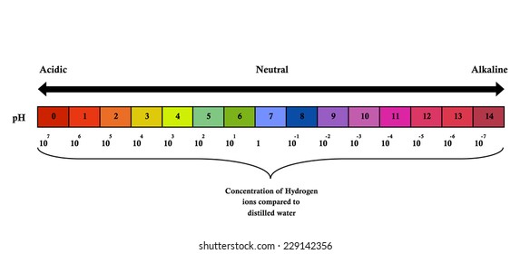 The PH Scale