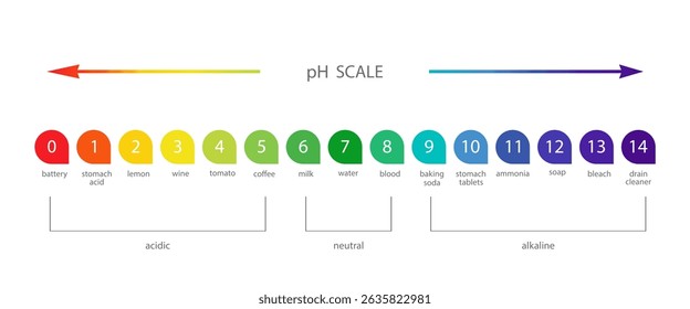 PH Scale. Acid and alkaline indicator. Chemical analysis or test. Education Poster. Vector illustration in flat style.