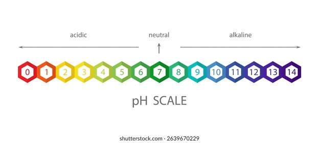 PH Scale. Acid and alkaline solution infographic. Chemical analysis or test. Vector illustration in flat style.