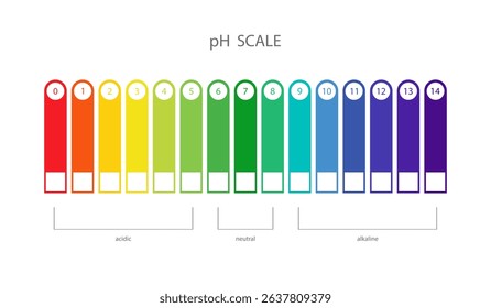 PH Scale. Acidic and alkaline measure. Scale indicator for litmus paper test. Vector illustration isolated on white background.