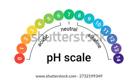 Ph scale for alkaline and acid balance. Water with a neutral indicator value. The meter is used in chemistry, food, and medicine.