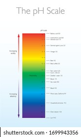 The pH Scale - Biology Chemistry Education