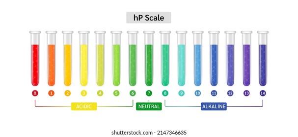 pH-Skala für Säure- und alkalische Lösungen und Grundbilanz. saure Lösung in Glasteströhren. Konzept der Wissenschaft und Biochemie. Einzeln auf weißem Hintergrund. Vektorgrafik. 