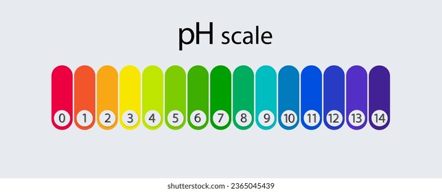 pH scale chart for acid and alkaline solutions. Acid-base balance infographic. Vector