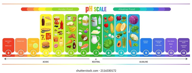 PH Scale Chart, Acid Balance Of Nutrition Measure Meter And Food Chemistry Science Infographics. Food Acidity Laboratory Test Scale With Fast Food Meal And Drink, Dairy Products, Fruits And Vegetables