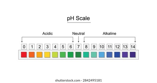 pH scale chart, acid, neutral, alkaline solutions. Chemistry, PH paper indicator. Color change of indicator. Vector illustration.