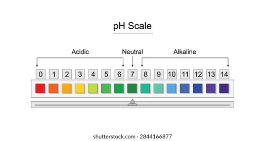 pH scale chart, acid, neutral, alkaline solutions. Chemistry, PH paper indicator. Color change of indicator. Vector illustration.