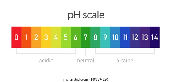 PH Scale Chart. Clipart Image