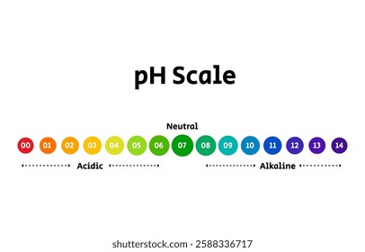 Ph scale chart diagram acidic alkaline measure. chemical scale test.