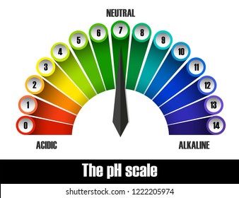 Ph Scale Chart Illustration Stock Vector (Royalty Free) 1222205974 ...