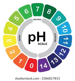 pH scale chart representing acidic, neutral, and alkaline levels from 0 to 14 in a simple black and white design for science and chemistry education. Colorful Ph level Scale chart indicator diagram.