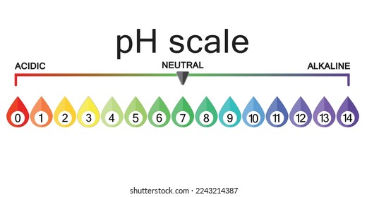 Ph-Skala. Maßstab für die chemische Analyse Säure-Base-Gleichgewicht Infografik. Tropfsymbol Vektorgrafik
