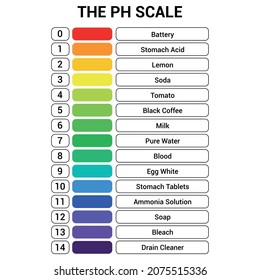 Ph Scale Chemistry Stock Vector (Royalty Free) 2075515336 | Shutterstock