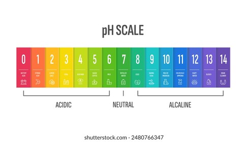 pH scale design. Color indicator chart. Values of acidic, alkaline, basic water. pH meter spectrum of solution acidity. Measurement graph for chemistry, science. Best for educational   materials