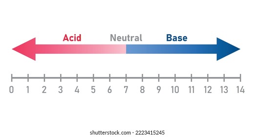 The ph scale diagram. Acid, neutral and base. Scientific vector illustration isolated on white background.