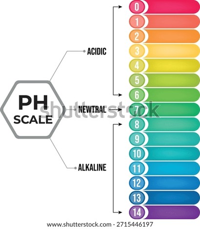 pH Scale Diagram with Acidic, Neutral, and Alkaline Ranges