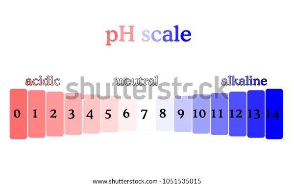 Ph Scale Litmus Paper Color Chart Ph Scale Diagram With Corresponding ...