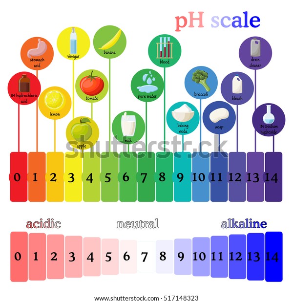pH scale diagram with corresponding acidic or alkaline
values for common substances, food, household chemicals . Litmus
paper color chart. Colorful flat vector illustration on white
background. 