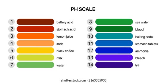 pH scale diagram, measure how acidic or alkaline an aqueous solution is. The range from 0 to 14, with 7 being neutral. pHs of less than 7 are acidity, greater than 7 are base. Colorful chart vector.