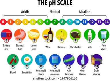 El diagrama de escala de pH en la ilustración de fondo blanco