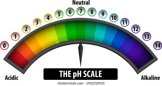 Ph Scale Diagram On White Background Stock Vector (Royalty Free ...