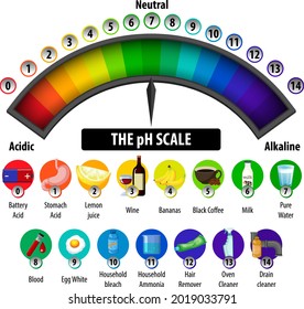 The pH Scale diagram on white background illustration