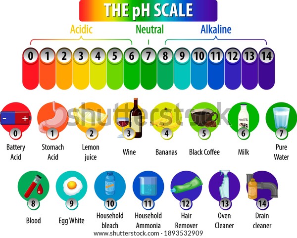 The pH Scale diagram on white background illustration