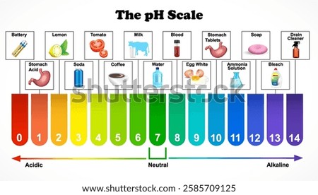 The pH Scale diagram. Science education vector illustration