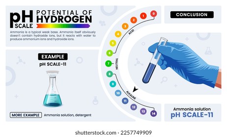 pH escalar once propiedades, cálculo y ejemplos - Ilustración vectorial