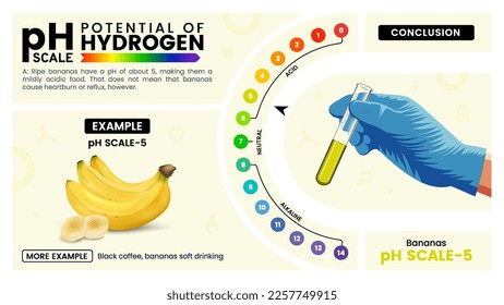Escala de pH cinco propiedades, cálculo y ejemplos - Ilustración vectorial